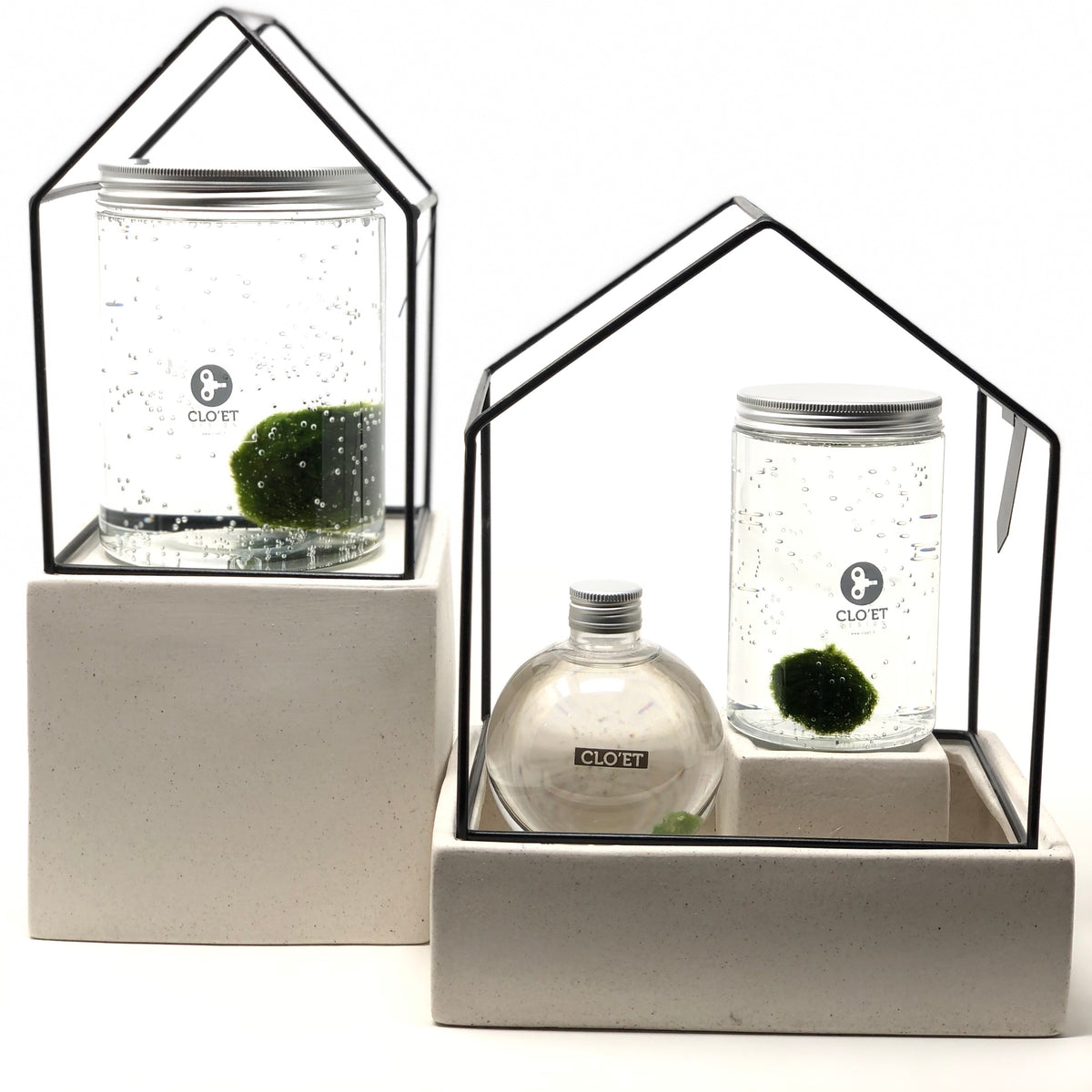 Marimo 30 Anni di Clo'eT design